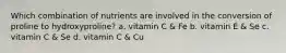 Which combination of nutrients are involved in the conversion of proline to hydroxyproline? a. vitamin C & Fe b. vitamin E & Se c. vitamin C & Se d. vitamin C & Cu