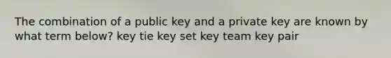 The combination of a public key and a private key are known by what term below? key tie key set key team key pair