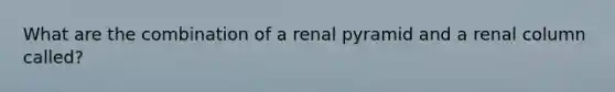 What are the combination of a renal pyramid and a renal column called?