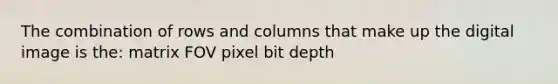 The combination of rows and columns that make up the digital image is the: matrix FOV pixel bit depth