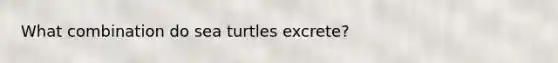 What combination do sea turtles excrete?