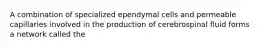 A combination of specialized ependymal cells and permeable capillaries involved in the production of cerebrospinal fluid forms a network called the