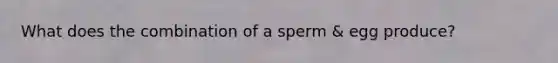 What does the combination of a sperm & egg produce?