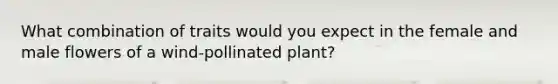 What combination of traits would you expect in the female and male flowers of a wind-pollinated plant?