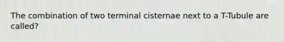 The combination of two terminal cisternae next to a T-Tubule are called?