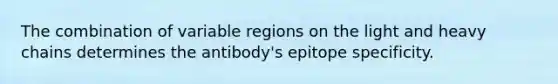 The combination of variable regions on the light and heavy chains determines the antibody's epitope specificity.