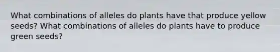 What combinations of alleles do plants have that produce yellow seeds? What combinations of alleles do plants have to produce green seeds?