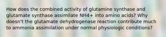 How does the combined activity of glutamine synthase and glutamate synthase assimilate NH4+ into amino acids? Why doesn't the glutamate dehydrogenase reaction contribute much to ammonia assimilation under normal physiologic conditions?