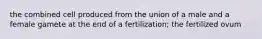 the combined cell produced from the union of a male and a female gamete at the end of a fertilization; the fertilized ovum