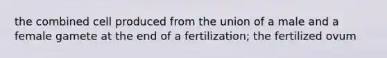 the combined cell produced from the union of a male and a female gamete at the end of a fertilization; the fertilized ovum