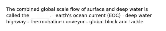 The combined global scale flow of surface and deep water is called the ________. - earth's ocean current (EOC) - deep water highway - thermohaline conveyor - global block and tackle