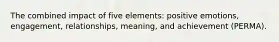 The combined impact of five elements: positive emotions, engagement, relationships, meaning, and achievement (PERMA).