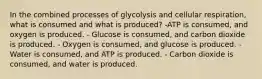 In the combined processes of glycolysis and cellular respiration, what is consumed and what is produced? -ATP is consumed, and oxygen is produced. - Glucose is consumed, and carbon dioxide is produced. - Oxygen is consumed, and glucose is produced. - Water is consumed, and ATP is produced. - Carbon dioxide is consumed, and water is produced.