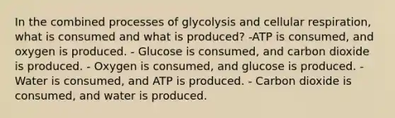 In the combined processes of glycolysis and cellular respiration, what is consumed and what is produced? -ATP is consumed, and oxygen is produced. - Glucose is consumed, and carbon dioxide is produced. - Oxygen is consumed, and glucose is produced. - Water is consumed, and ATP is produced. - Carbon dioxide is consumed, and water is produced.