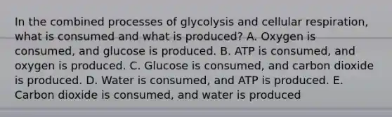 In the combined processes of glycolysis and cellular respiration, what is consumed and what is produced? A. Oxygen is consumed, and glucose is produced. B. ATP is consumed, and oxygen is produced. C. Glucose is consumed, and carbon dioxide is produced. D. Water is consumed, and ATP is produced. E. Carbon dioxide is consumed, and water is produced