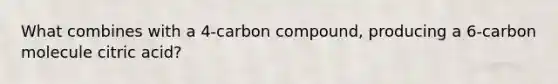 What combines with a 4-carbon compound, producing a 6-carbon molecule citric acid?