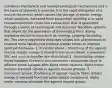 Combines mechanical and neurophysiological mechanisms and is the basis of plyometric exercise. It Is the rapid elongation of a muscle (eccentric) which causes the storage of elastic energy which produces increased force production resulting in a rapid countermovement (muscular contraction) that is generated through a series of neurological and muscular feedback systems that allows for the generation of tremendous force during explosive muscle actions such as running, jumping, bounding, etc. The use of plyometric exercises utilizes this phenomenon to respond more rapidly and produce greater forces to improve sport performance. 1. Eccentric phase : Stretching of the agonist muscle (elastic energy is stored in the series elastic component SEC and muscle spindles are stimulated. 2. Amortization phase: Pause between Eccentric and concentric components (type Ia afferent nerve synapse with alpha motor neurons. Alpha motor neurons transmit signals to agonist muscle groups). 3. Concentric phase: Shortening of agonist muscle fibers (Elastic energy is released from the series elastic component. Alpha motor neurons stimulate the agonist muscle group)