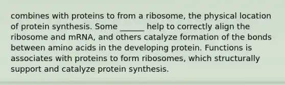 combines with proteins to from a ribosome, the physical location of protein synthesis. Some ______ help to correctly align the ribosome and mRNA, and others catalyze formation of the bonds between amino acids in the developing protein. Functions is associates with proteins to form ribosomes, which structurally support and catalyze protein synthesis.