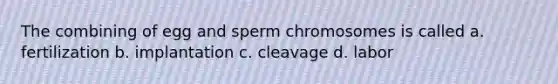 The combining of egg and sperm chromosomes is called a. fertilization b. implantation c. cleavage d. labor