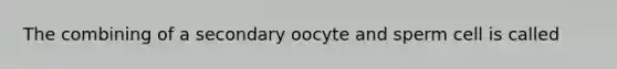 The combining of a secondary oocyte and sperm cell is called