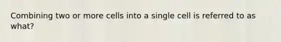 Combining two or more cells into a single cell is referred to as what?