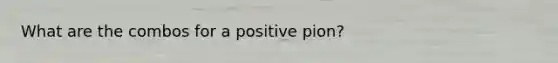 What are the combos for a positive pion?