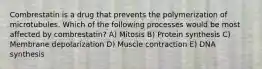 Combrestatin is a drug that prevents the polymerization of microtubules. Which of the following processes would be most affected by combrestatin? A) Mitosis B) Protein synthesis C) Membrane depolarization D) Muscle contraction E) DNA synthesis