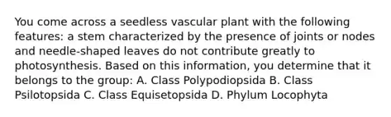 You come across a seedless vascular plant with the following features: a stem characterized by the presence of joints or nodes and needle-shaped leaves do not contribute greatly to photosynthesis. Based on this information, you determine that it belongs to the group: A. Class Polypodiopsida B. Class Psilotopsida C. Class Equisetopsida D. Phylum Locophyta