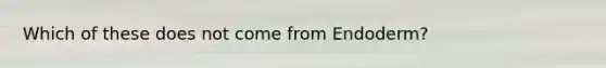 Which of these does not come from Endoderm?