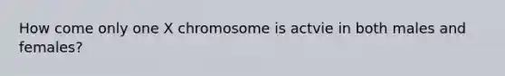 How come only one X chromosome is actvie in both males and females?