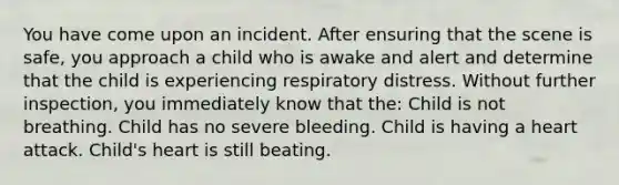 You have come upon an incident. After ensuring that the scene is safe, you approach a child who is awake and alert and determine that the child is experiencing respiratory distress. Without further inspection, you immediately know that the: Child is not breathing. Child has no severe bleeding. Child is having a heart attack. Child's heart is still beating.