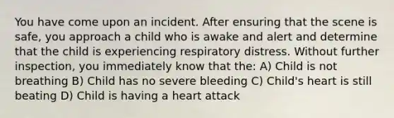 You have come upon an incident. After ensuring that the scene is safe, you approach a child who is awake and alert and determine that the child is experiencing respiratory distress. Without further inspection, you immediately know that the: A) Child is not breathing B) Child has no severe bleeding C) Child's heart is still beating D) Child is having a heart attack