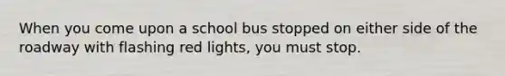 When you come upon a school bus stopped on either side of the roadway with flashing red lights, you must stop.