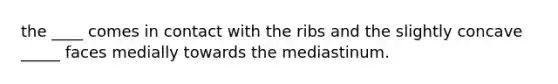 the ____ comes in contact with the ribs and the slightly concave _____ faces medially towards the mediastinum.