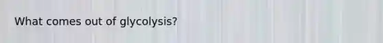 What comes out of glycolysis?