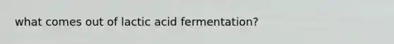 what comes out of lactic acid fermentation?