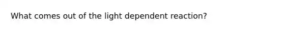 What comes out of the light dependent reaction?