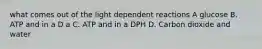 what comes out of the light dependent reactions A glucose B. ATP and in a D a C. ATP and in a DPH D. Carbon dioxide and water