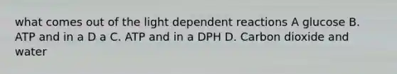 what comes out of the light dependent reactions A glucose B. ATP and in a D a C. ATP and in a DPH D. Carbon dioxide and water