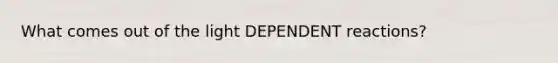 What comes out of the light DEPENDENT reactions?