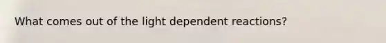 What comes out of the light dependent reactions?