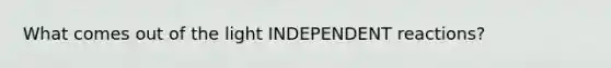 What comes out of the light INDEPENDENT reactions?