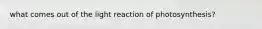 what comes out of the light reaction of photosynthesis?