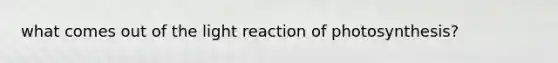 what comes out of the light reaction of photosynthesis?