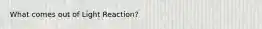 What comes out of Light Reaction?