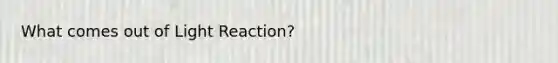 What comes out of Light Reaction?