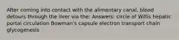 After coming into contact with the alimentary canal, blood detours through the liver via the: Answers: circle of Willis hepatic portal circulation Bowman's capsule electron transport chain glycogenesis