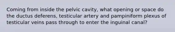 Coming from inside the pelvic cavity, what opening or space do the ductus deferens, testicular artery and pampiniform plexus of testicular veins pass through to enter the inguinal canal?