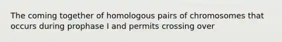 The coming together of homologous pairs of chromosomes that occurs during prophase I and permits crossing over