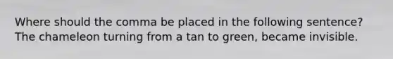 Where should the comma be placed in the following sentence? The chameleon turning from a tan to green, became invisible.